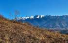 Magura/Brasov, teren generos, pretabil investitie cabane/pensiune/casa - 16