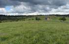 Teren | 13600 mp | Marisel - 7