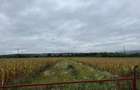 Vand teren intravilan 2000m2 in sat Hotarel, langa ?tei cu toate utilita?ile - 1