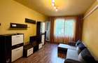 Apartament cu 2 camere Dumbrava Noua - 2
