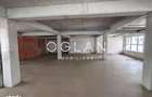 Spatiu Comercial 305 mp+ gradina 178mp, Bieltz/Turnisor - 5