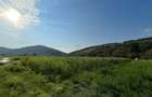 Teren intravilan 2570mp, com. Soimus, sat Bejan *pret negociabil - 3