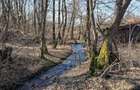 Casa ?i teren in Mun?ii Apuseni la 18 km de municipiul Deva - 4