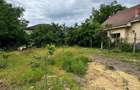 Casa si teren de vanzare 948mp Campia Islaz, Oportunitate de invest - 10