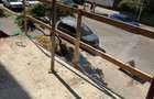 Apartament 2 camere, 37 mp, semifinisat, zona Bulgaria - 1
