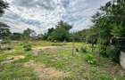 Casa si teren de vanzare 948mp Campia Islaz, Oportunitate de invest - 2