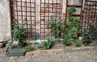 Apartament cu 3 camere/  Piata Victoriei/ Moxa - 12