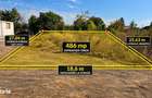 Teren Str. Crinului 486 Mp + 110 Mp Drum, 18,6 M Deschidere, Curent