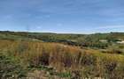 Teren pt. dezvoltare imobiliara, Saldabagiu de Munte,Gaminvest,V3921 - 1