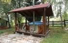 Cabana la munte, Colibita, jacuzzi, foisor - 18