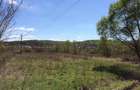 Proprietar,Teren Valea Ursului la 5km de Pitesti - 3