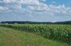 Vand teren direct proprietar - 6