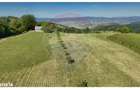 Teren 20.170mp | Livada | Suncuius, Bihor - 11