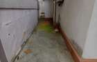 DELFINARIU CASA CU 3 CAMERE 130MP PRET 175000 EURO - 9