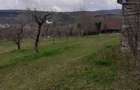 Teren intravilan 6.000 mp, Suceagu zona linistita, aproape de - 1