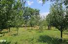 Teren langa padure Baicoi | 480 mp | D-32 ml | Zona vile noi - 10