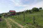 Teren de vanzare Com Berislavesti, Valcea - 3