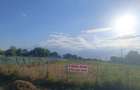 Teren intravilan 2.000 mp Oancea, Braila - 1