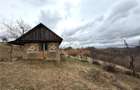 TEREN 34.000 MP | SERANI BIHOR - 5