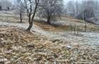 Vand teren Secaria, PH, 9380m2 - 3