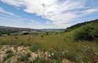 Teren intravilan 5.800 mp, Baciu Vatra Satului Vechi, Panorama superba - 1