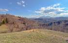 Refugiu de poveste în inima naturii | 12.000 mp în Holbav | Proiect început - 1