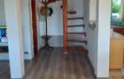 Casa de vacanta Surduc - 3