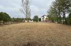 Teren de vanzare in Polovragi, Gorj - 4