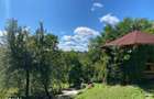 Domeniu exclusivist 17.000 mp | Vila luxury cu piscina & SPA Carbu - 19