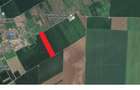 Teren 1.04 Ha Frunzane?ti (Calara?i) Orientare ideala Nord-Sud pentru Parc Fotovoltaic Tracker - 1