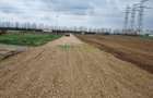 VANZARE TEREN 4.000 MP - INDUSTRIAL - POPE?TI LEORDENI - CENTURA - 4