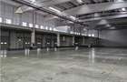 Spatiu Industrial - 3000 mp - Logistica - Productie - Depozitare - Distributie - 7