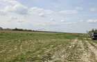Teren intravilan,831 mp,Zona Baile 1 Mai, sat Rontau,Bihor - 2