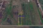 TEREN INTRAVILAN 3.870 MP – BUFTEA | ZONA TAMASI | FRONT STRADAL 32 ML - 5