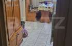 Apartament de vanzare, 49 mp, 2 camere, decomandat, zona Solidaritatii - 4