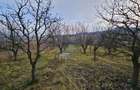 Teren extravilan 10,791mp Falticeni / Strada DJ209A, Opriseni - 16