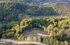 Teren de vanzare, 7300 mp, acces pavat - 10