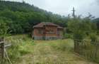 Teren, padure si casa in Dumbrava de Jos, jud. Hunedoara - 2