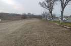 Teren intravilan in Santuhalm cu o suprafata de 5500mp, - 13
