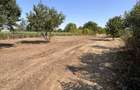 Vand teren Ciofliceni Snagov - 1