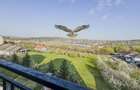 Apartament modern cu 1 camera situat pe Str Gaudi/Borhanci - 2