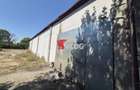 HALA INDUSTRIALA + CASA DE VANZARE ZONA FREIDORF - 8