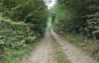 Vand teren intravilan 5.000 mp Sat Brate?, Com. Tarcau, Jud. Neam? - 5