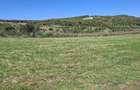 Teren de 2500 mp, în Sfăcăru