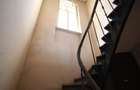 Spatiu comercial P+E zona Rosetti / 800 mp - 11