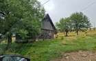 Vand teren si casa istorica Giurcu?a de Sus pe malul lacului - 8
