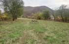 Teren intravilan 2500mp Criscior