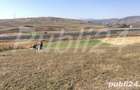 Persoana Fizica schimb teren de 5500 mp - 7
