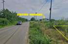 Teren de vanzare in Sabareni - Giurgiu (4400 mp) langa Dragomiresti-Deal / Chiajna - 5