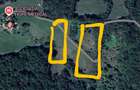 Teren extravilan ?erani Borod Bihor 2,5 ha - 5